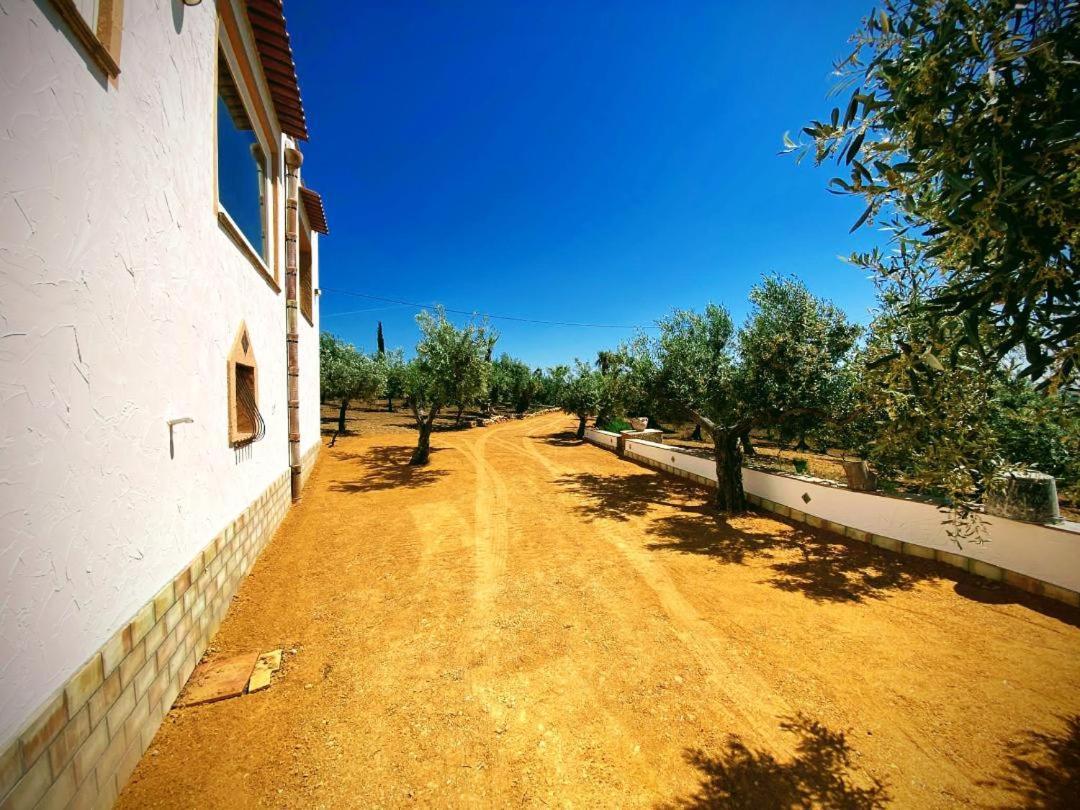Villa Immersa In Oliveto Vista Mare Sciacca Luaran gambar