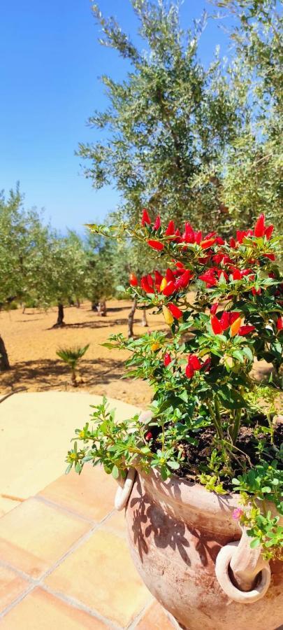 Villa Immersa In Oliveto Vista Mare Sciacca Luaran gambar