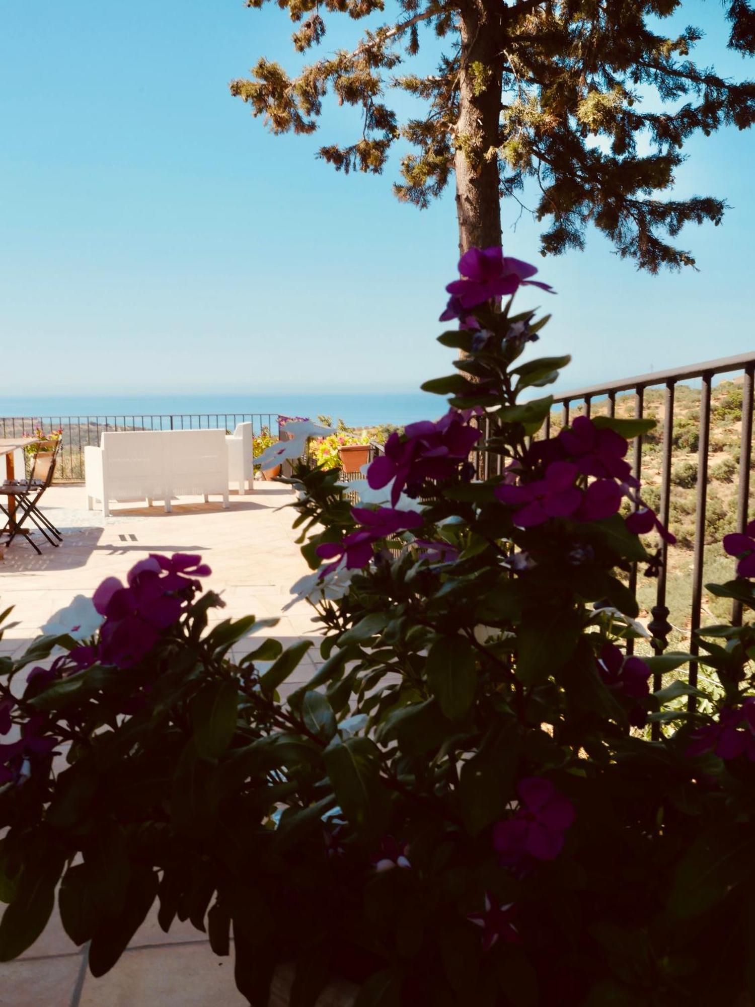 Villa Immersa In Oliveto Vista Mare Sciacca Luaran gambar